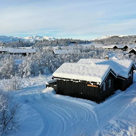 Family-friendly With Stunning Outdoor Access * Beitostolen