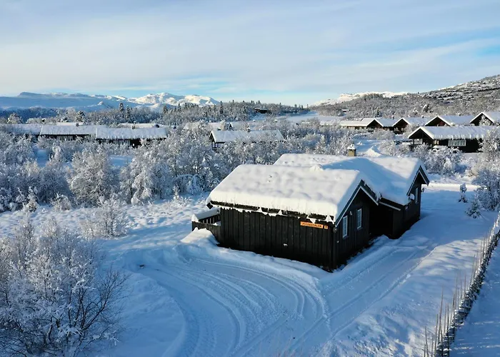 Family-friendly With Stunning Outdoor Access * Beitostolen